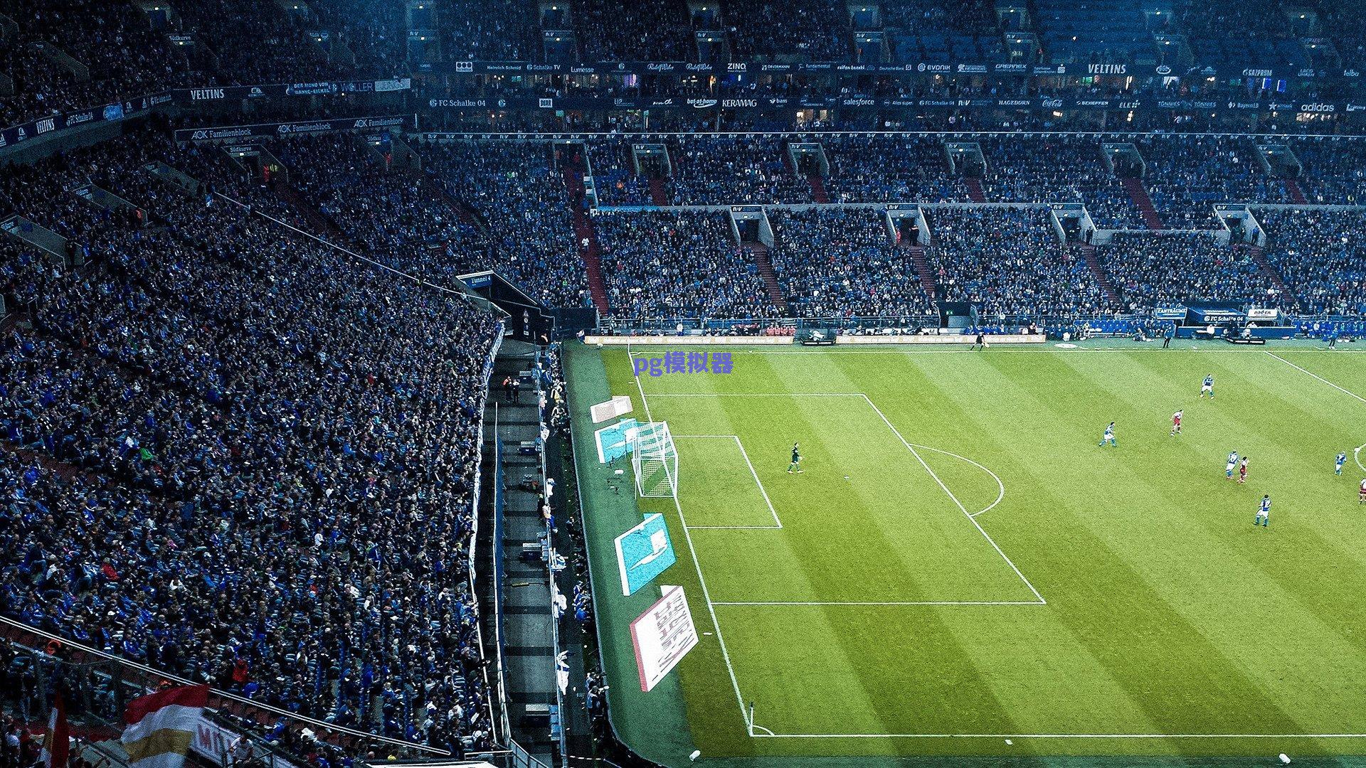 沙尔克04新帅亮相，青训改革+战术革命点燃皇家蓝复兴希望